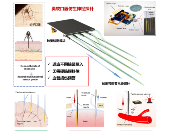 微信截图_20230817150822.png